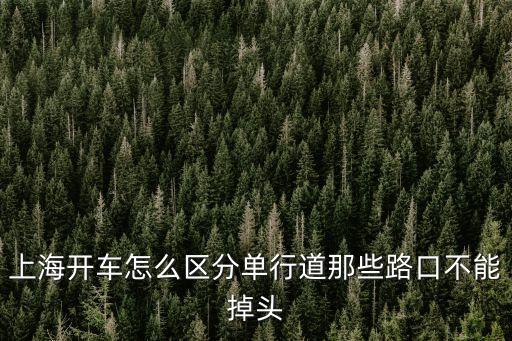 上海市月羅公路可掉頭的路口，滬C在這個路口掉頭會被拍嗎不是十字路口