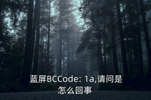  藍屏BCCode: 1a,請問是怎么回事