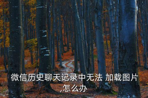 微信無法加載圖片,手機(jī)微信無法加載圖片或因版本太低所致