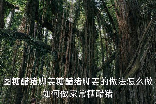 甜醋豬腳姜，糖醋豬腳姜怎么做