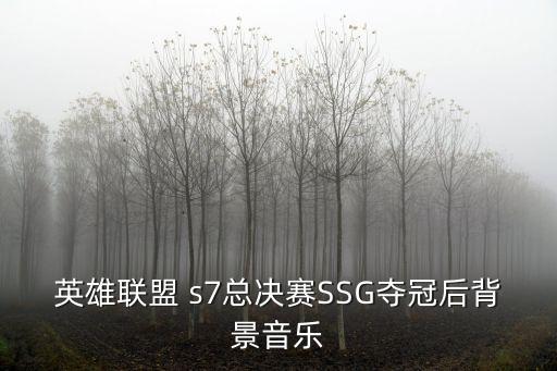 英雄聯(lián)盟 s7總決賽SSG奪冠后背景音樂