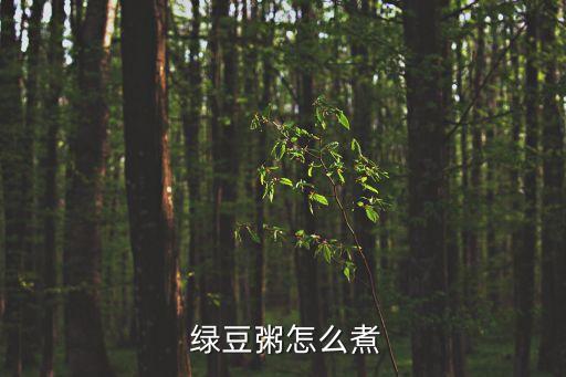 綠豆粥怎么煮