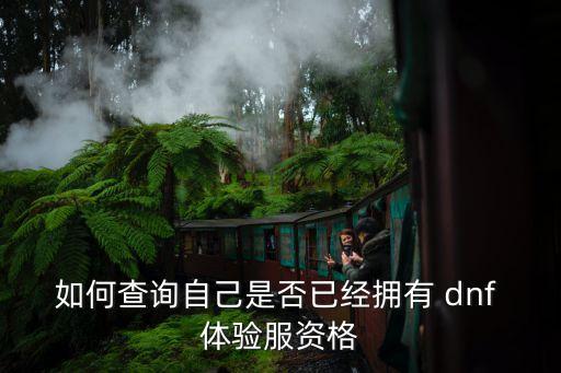 dnf體驗服官網,dnf官網體驗如何獲得資格?
