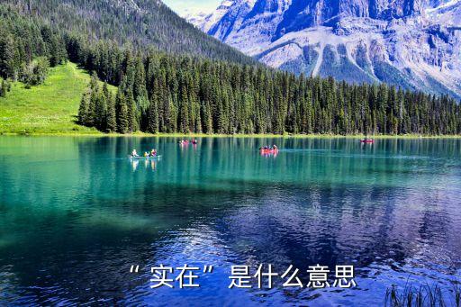 “ 實在”是什么意思
