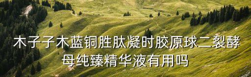  木子子木藍銅勝肽凝時膠原球二裂酵母純臻精華液有用嗎