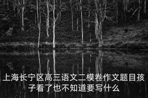 上海長寧區高三語文二模卷作文題目孩子看了也不知道要寫什么