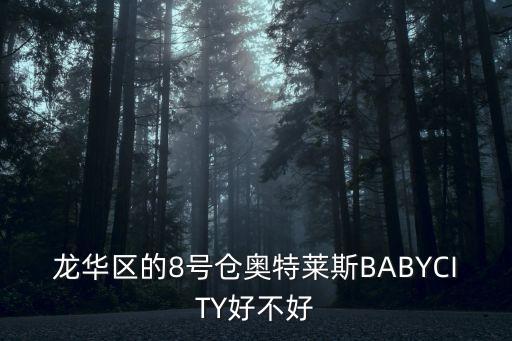 8號倉，龍華區的8號倉奧特萊斯BABYCITY好不好