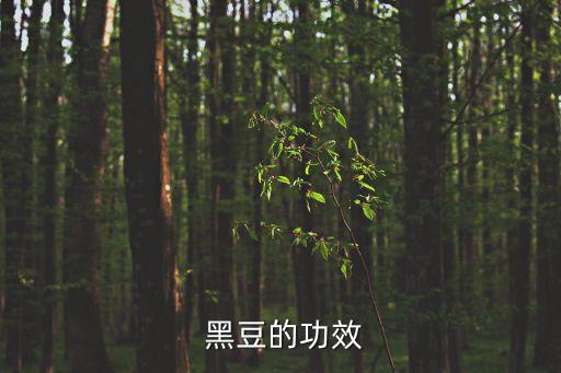  黑豆的功效