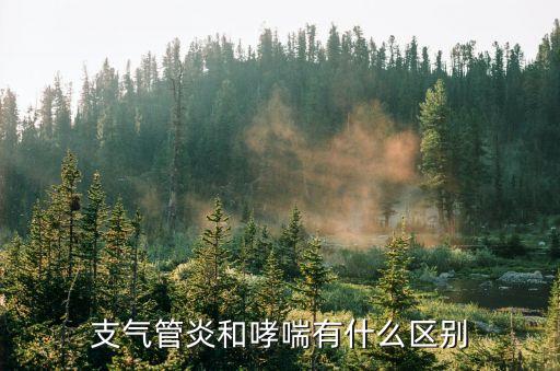 支氣管炎和哮喘的區別，支氣管炎和支氣管哮喘有什么區別啊