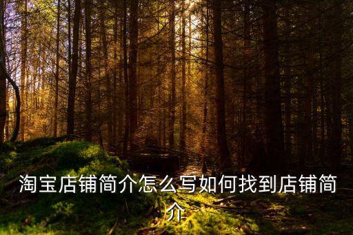  淘寶店鋪簡介怎么寫如何找到店鋪簡介