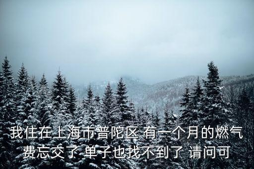 上海市天然氣報修服務，我住在上海市普陀區 有一個月的燃氣費忘交了 單子也找不到了 請問可