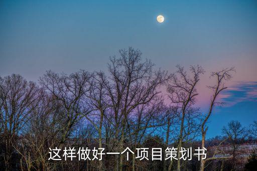這樣做好一個項目策劃書
