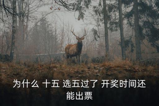 為什么 十五 選五過了 開獎時間還能出票