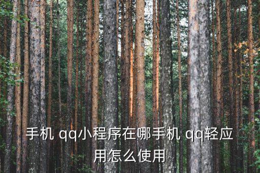 手機 qq小程序在哪手機 qq輕應(yīng)用怎么使用