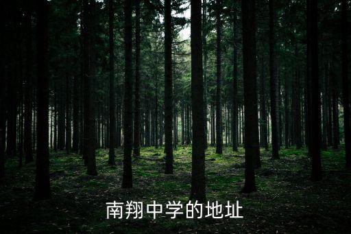 上海市南洋中學(xué)地址，南翔中學(xué)的地址