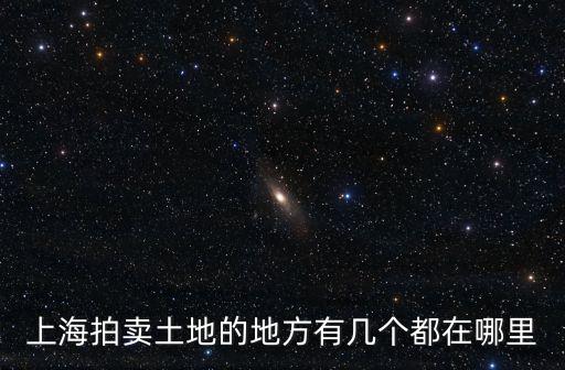 上海拍賣土地的地方有幾個都在哪里