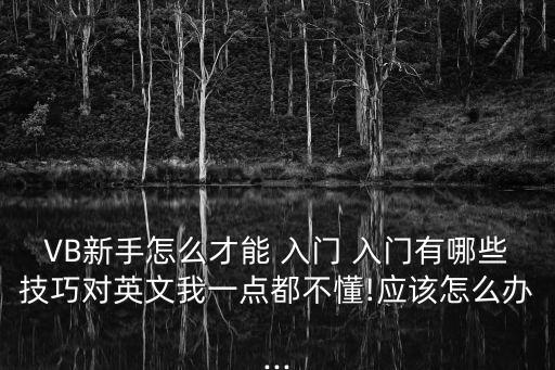 vb編程入門,如何安裝51個應(yīng)用程序?一文看懂