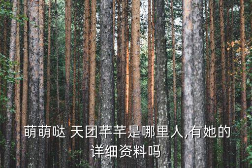 萌萌噠天團,萌萌da天團成員簡介