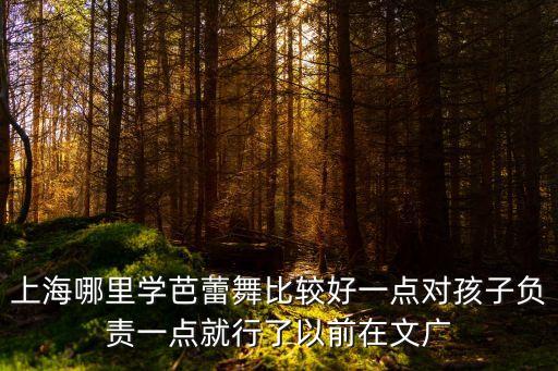 芭蕾上海市舞蹈學校，上海哪里學芭蕾舞比較好一點對孩子負責一點就行了以前在文廣
