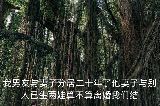 我男友與妻子分居二十年了他妻子與別人已生兩娃算不算離婚我們結(jié)
