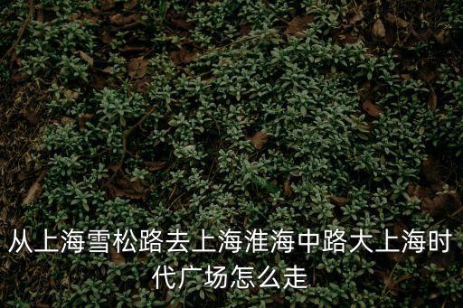 從上海雪松路去上海淮海中路大上海時代廣場怎么走
