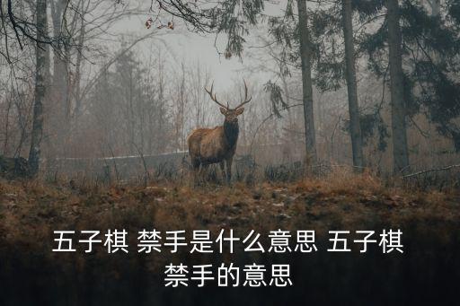  五子棋 禁手是什么意思 五子棋 禁手的意思