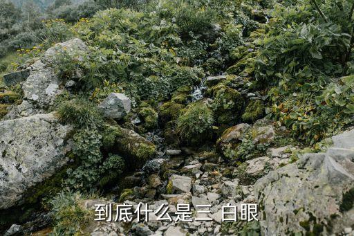 什么是三白眼,兩種眼睛叫做三白眼一種是蛇眼