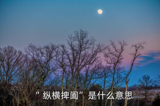 縱橫是什么意思,縱橫做愛，各戴一尊