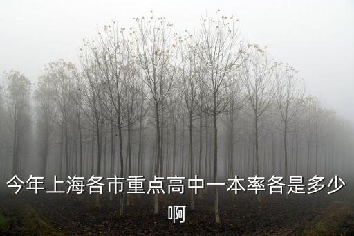今年上海各市重點高中一本率各是多少啊