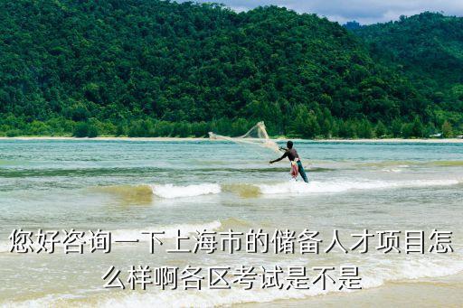 您好咨詢一下上海市的儲(chǔ)備人才項(xiàng)目怎么樣啊各區(qū)考試是不是