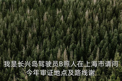 我是長(zhǎng)興島駕駛員B照人在上海市請(qǐng)問(wèn)今年審證地點(diǎn)及路線謝