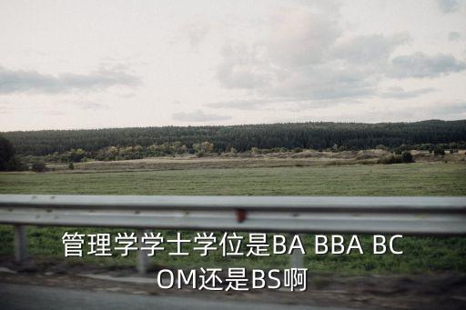 管理學學士學位是BA BBA BCOM還是BS啊