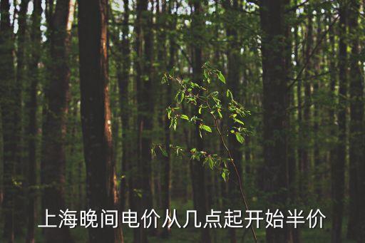 上海市階段性降電價最新政策，上海晚間電價從幾點起開始半價