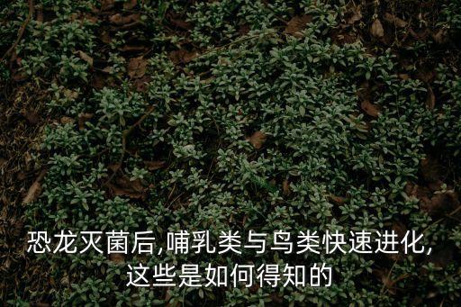 天宇龍,華龍蜥腳類恐龍是世界上首種具有原始羽毛的動物