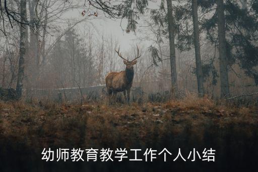 教育教學(xué)經(jīng)驗總結(jié)，幼師教育教學(xué)工作個人小結(jié)