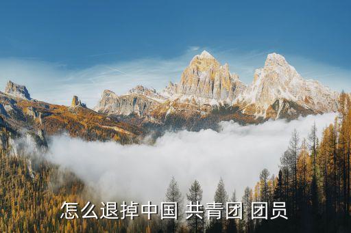 共青團(tuán)團(tuán)員,超齡離團(tuán)團(tuán)員若年滿28歲可辦離團(tuán)手續(xù)