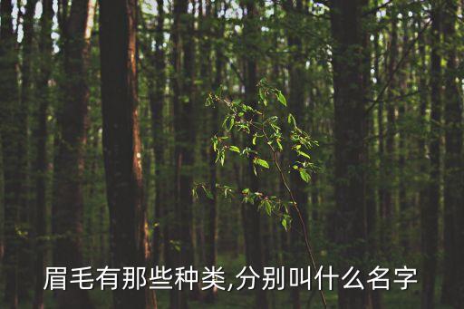 弦月眉,什么樣的眉毛和眼睛才能搭配好!