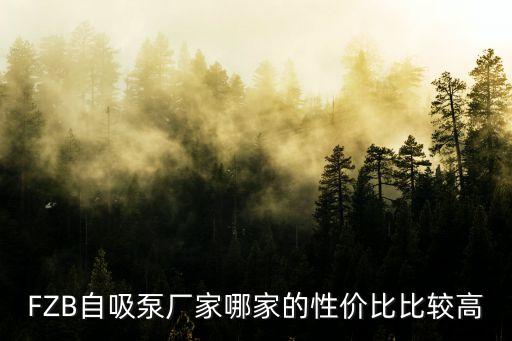上海市廣泉泵業，FZB自吸泵廠家哪家的性價比比較高