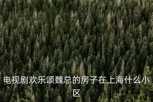 電視劇歡樂頌魏總的房子在上海什么小區