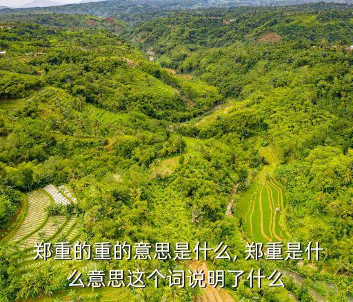 鄭重什么,鄭重其事:想當然而不在乎出自曹青雪芹《紅樓夢》