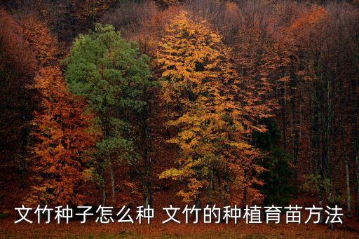文竹種子怎么種 文竹的種植育苗方法