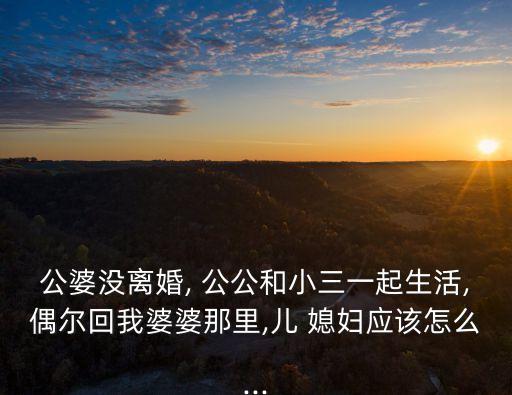 公婆沒離婚, 公公和小三一起生活,偶爾回我婆婆那里,兒 媳婦應該怎么...
