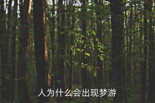 人為什么會出現夢游