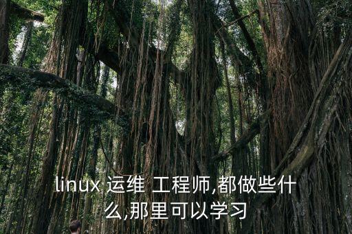 linux 運維 工程師,都做些什么,那里可以學習