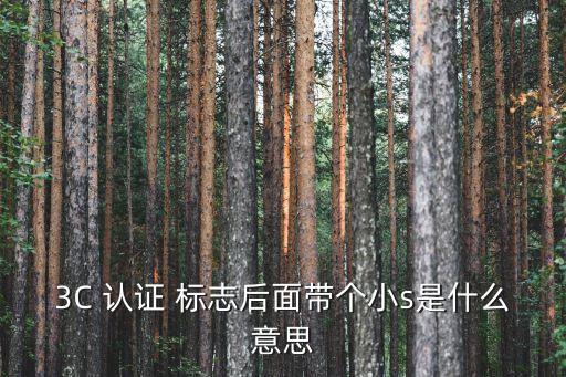 3C 認證 標志后面帶個小s是什么意思