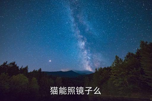 貓能照鏡子么