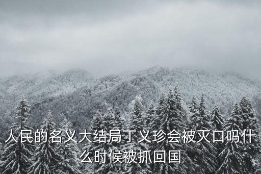 人民的名義丁義珍，人民的名義大結(jié)局丁義珍會(huì)被滅口嗎什么時(shí)候被抓回國(guó)