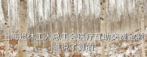 上海退休工人總工會醫療互助交費金額誰說了算的
