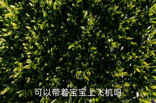 可以帶著寶寶上飛機嗎
