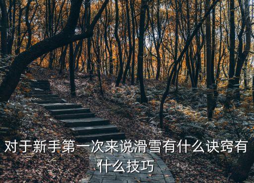 對于新手第一次來說滑雪有什么訣竅有什么技巧
